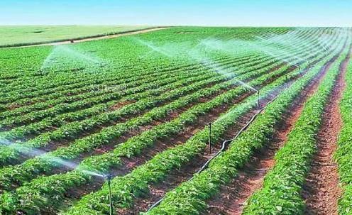 www.avxx农田高 效节水灌溉